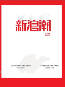 新浪潮杂志